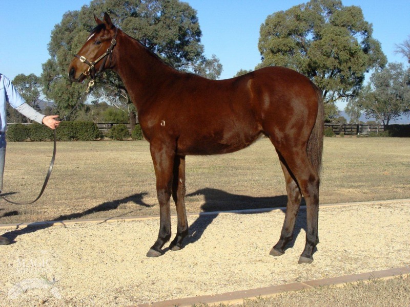 Royalsecurityjet (AUS) - photo 1