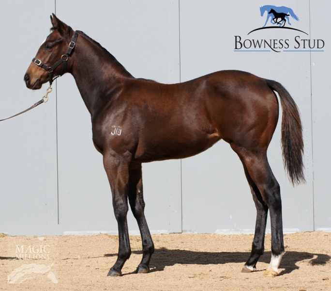 Pistolpackingpenny - photo 1