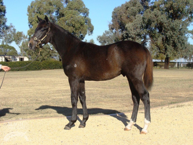 Dane De Lago - photo 1