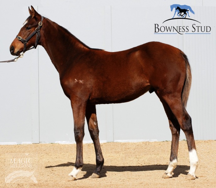 Two Shillings (AUS) - photo 1