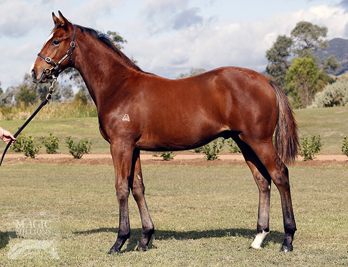 Off The Rails - photo 1