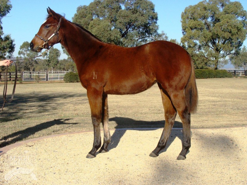 Just a Blur (AUS) - photo 1