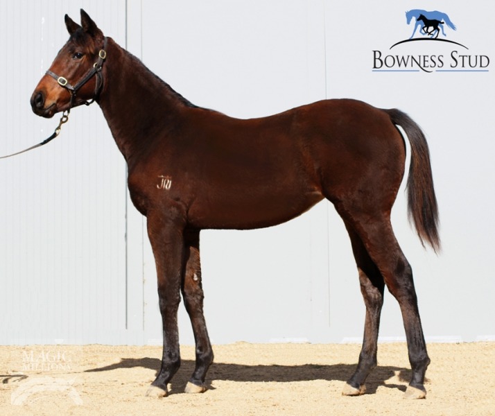 Street Rose - photo 1