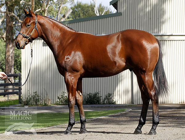 Spanish Point Road - photo 1