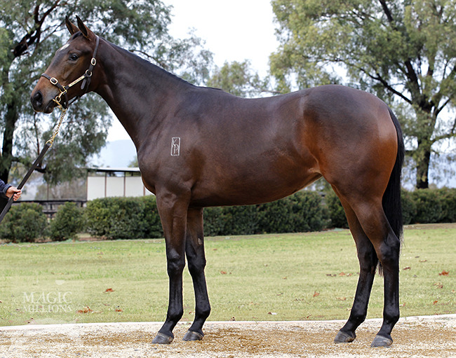 Reinvent (AUS) - photo 1