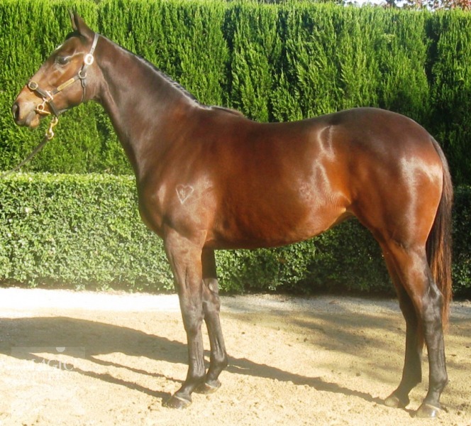 All Harmony - photo 1