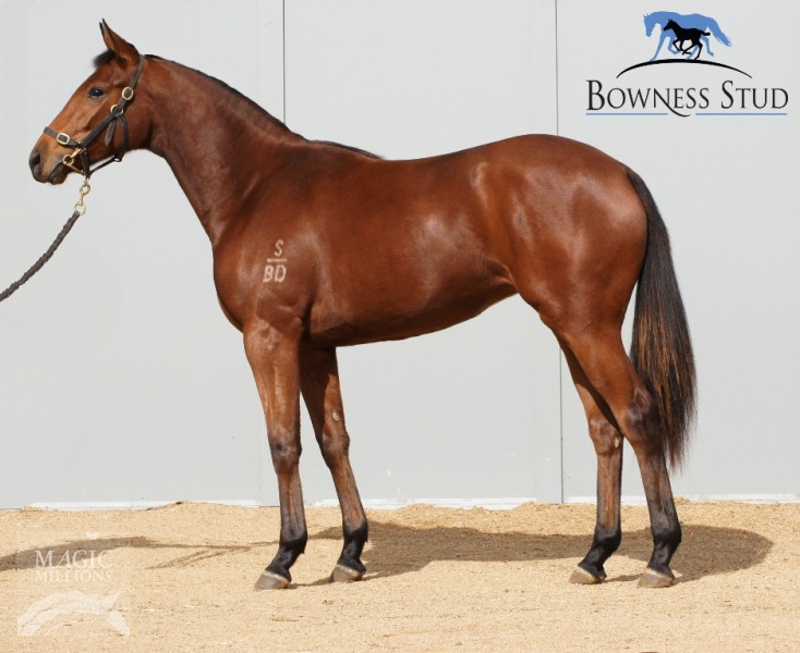 Iron Belle - photo 1