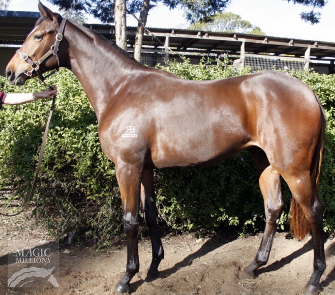 Welsh Rose - photo 1