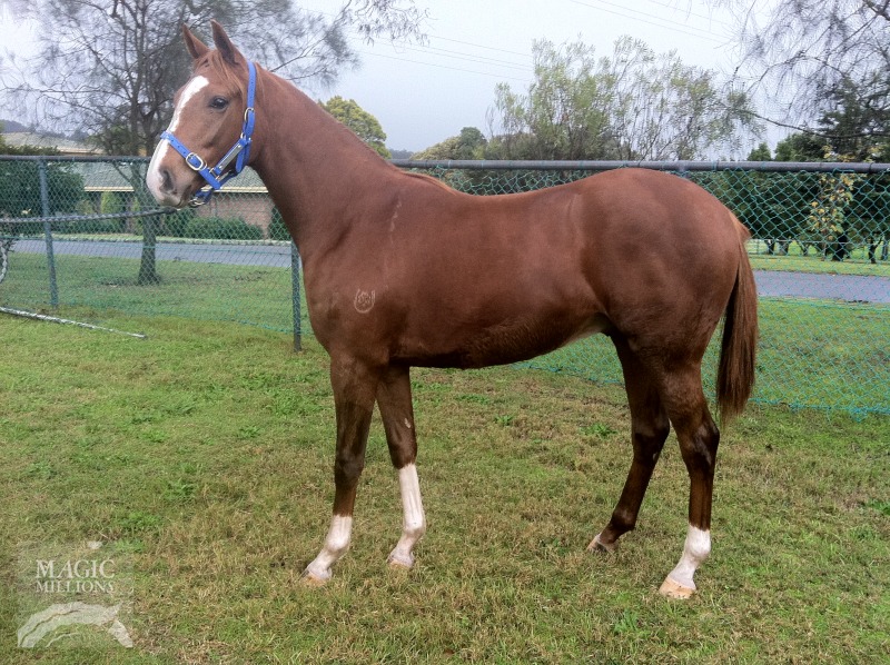 Any Given Saturday (USA) / Dorothy's Shoes (USA) - photo 1