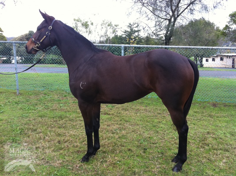 Elusive Elle - photo 1