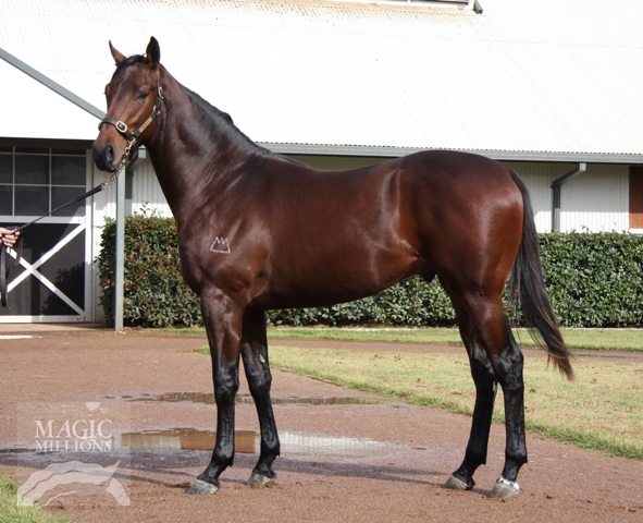 General Harvest - photo 1