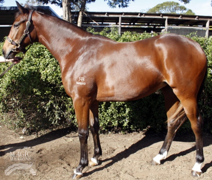 Grand Belle - photo 1