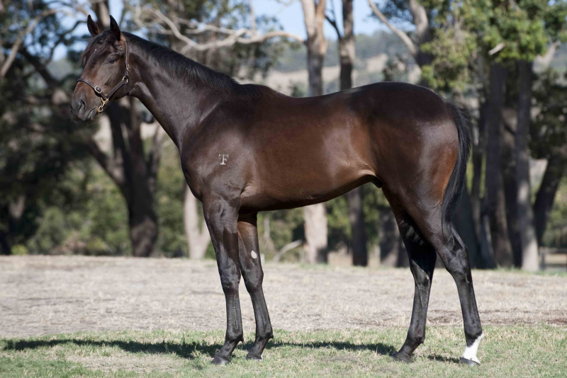 Apocalypse Now - photo 1