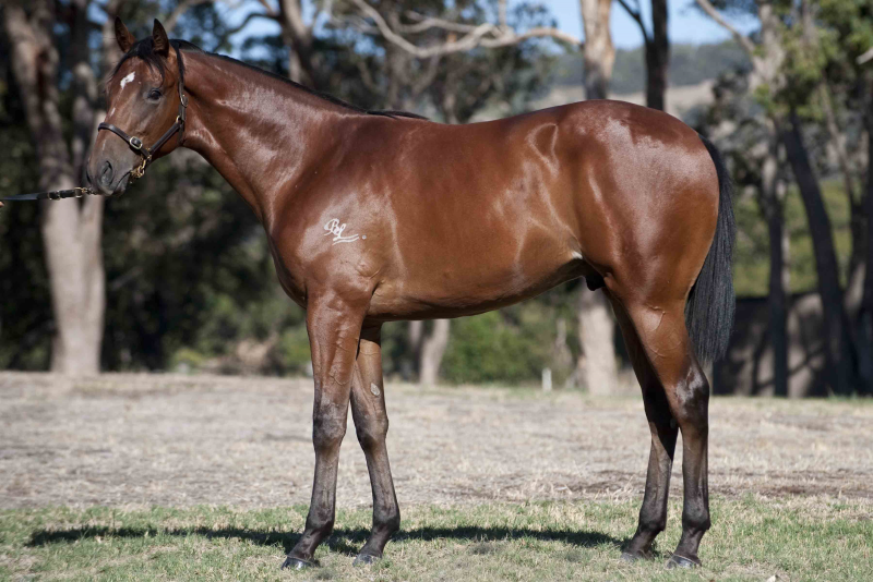 Capolavoro - photo 1