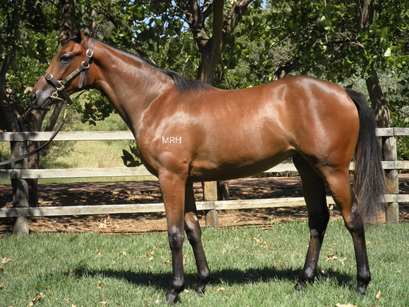 Safety Lights (AUS) - photo 1