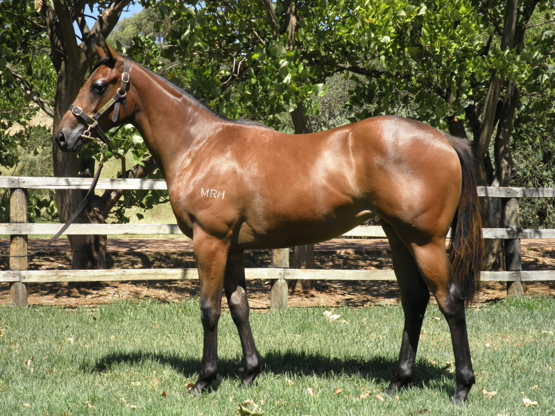 Enough Attitude - photo 1