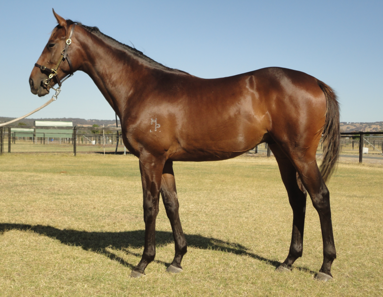 Paschal Triduum (AUS) - photo 1