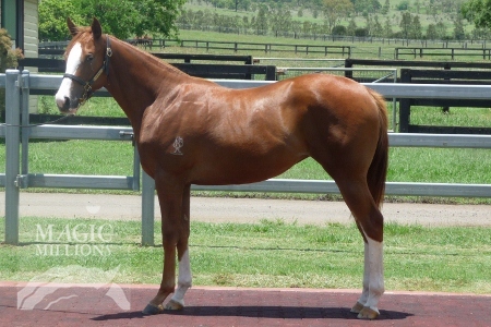 Opening Bell - photo 1