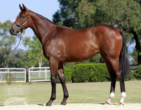 Wonderful Feeling (AUS) - photo 1