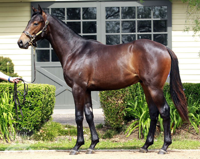 Eagle's Cry - photo 1