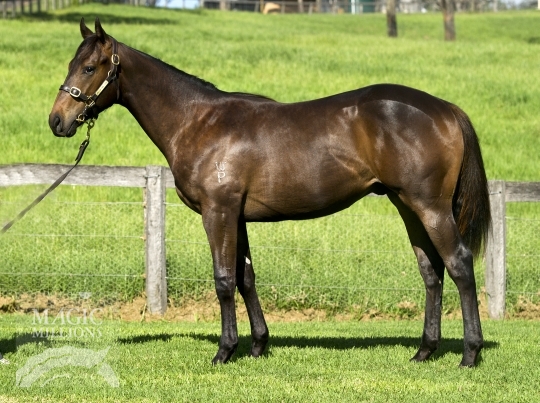 Desk Pop (AUS) - photo 1