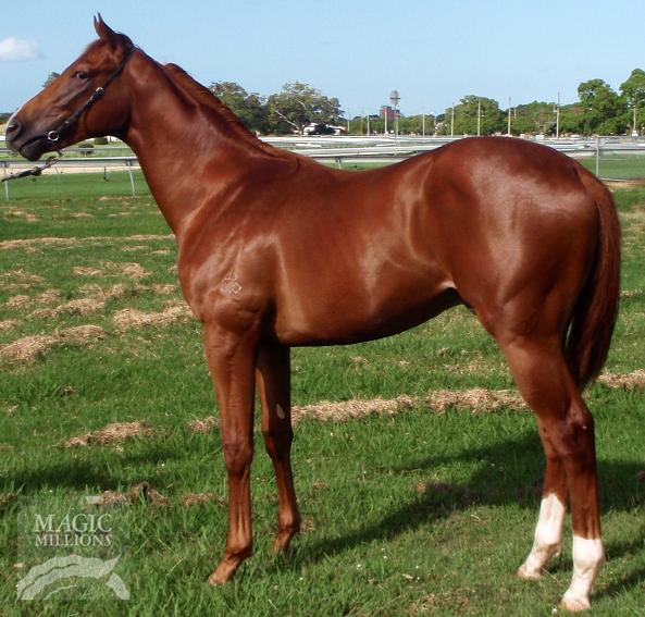 Flying Mamuza - photo 1