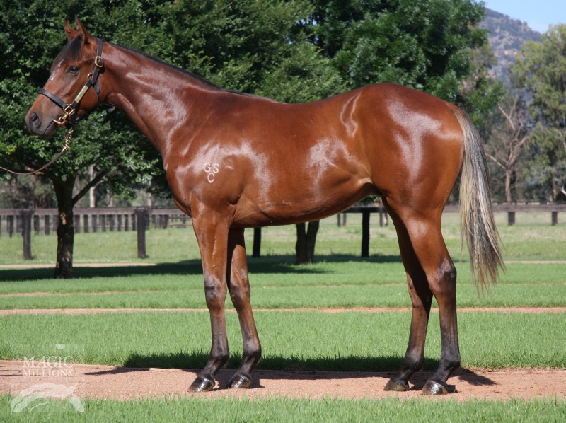 Cosmic Cameo - photo 1