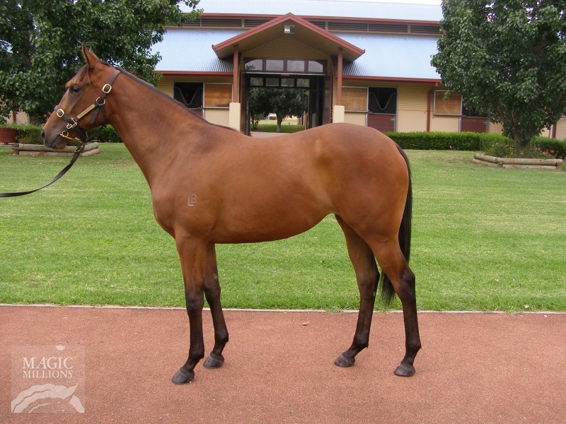 Brooklyn Miss - photo 1