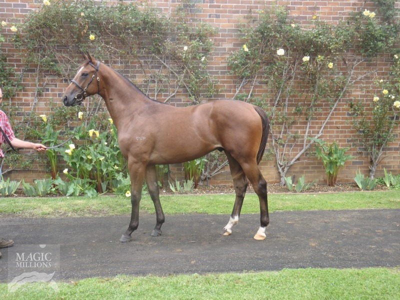 Great De Here - photo 1