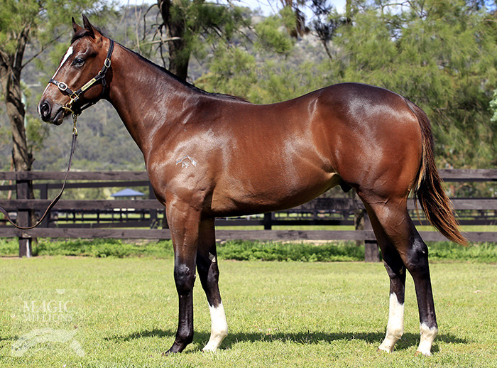 Gracious Prospect - photo 1