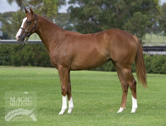 Star Of Lodore - photo 1