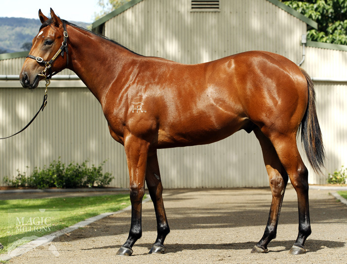 True Prince - photo 1