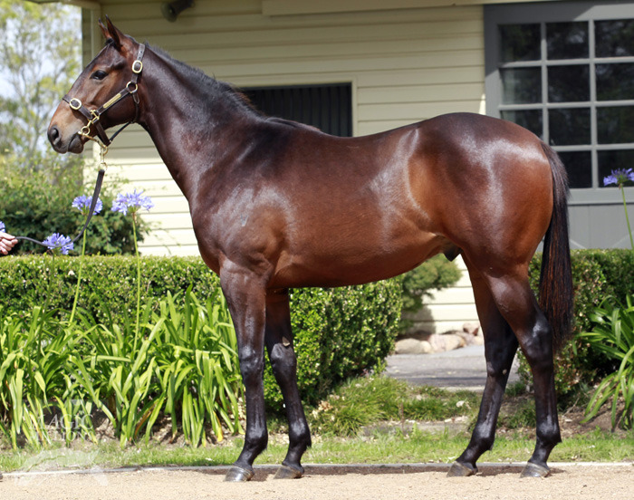 Shah San Gabriel - photo 1