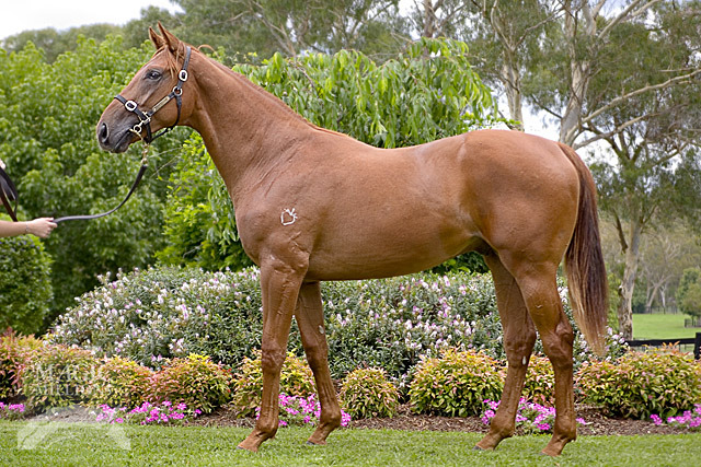 Hey Shazam - photo 1