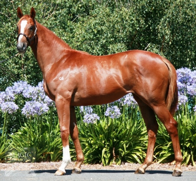 Estonian Princess (AUS) - photo 1