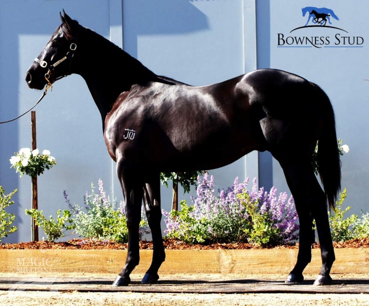 Outnumbered - photo 1