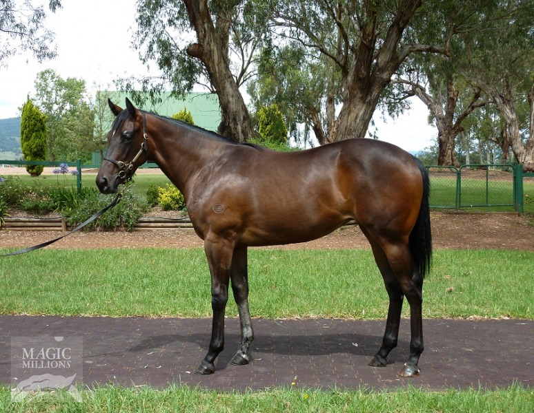 German Lady (AUS) - photo 1