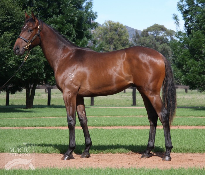 War Jet (AUS) - photo 1