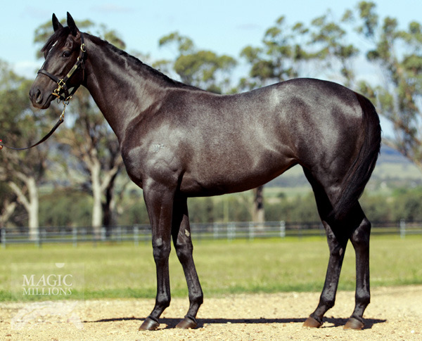 Silver Penny (NZ) - photo 1