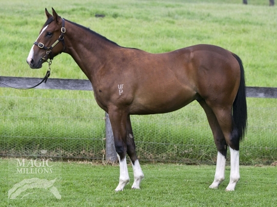 Hilton Castle - photo 1