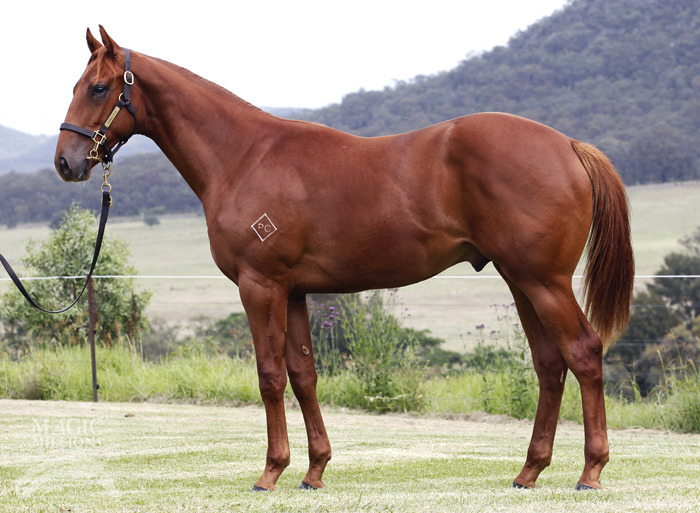 Blue Prints - photo 1