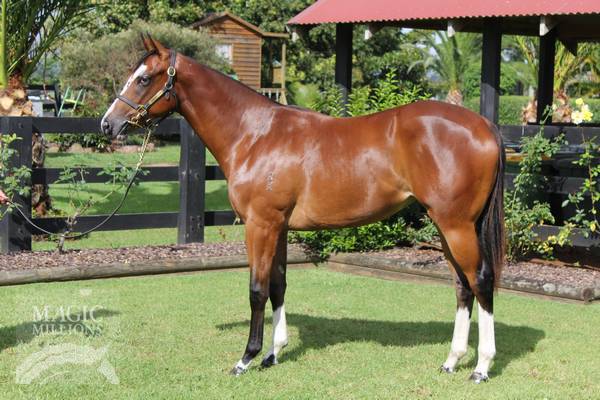 Buttons (AUS) - photo 1