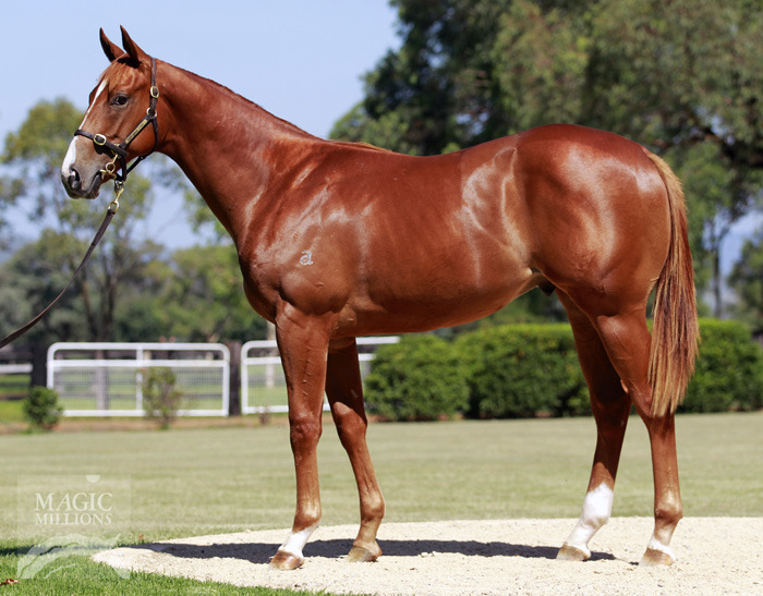 Primal Flight - photo 1