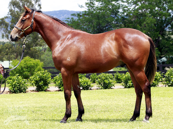 More Rewarding (AUS) - photo 1