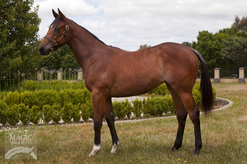 Godiva Rock (AUS) - photo 1