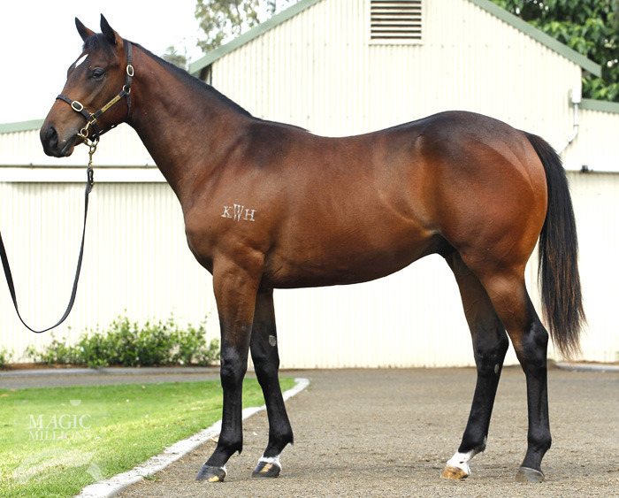 King Caper - photo 1