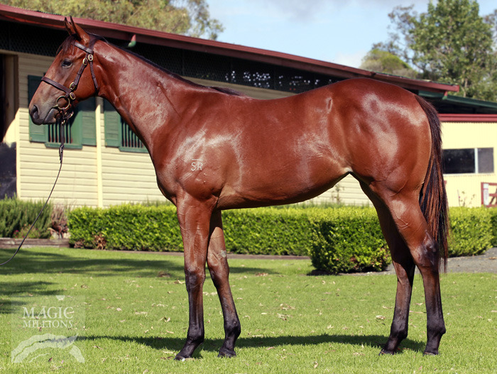 Radiant Angel (AUS) - photo 1