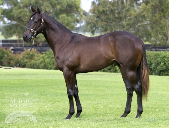 Rockford (AUS) - photo 1