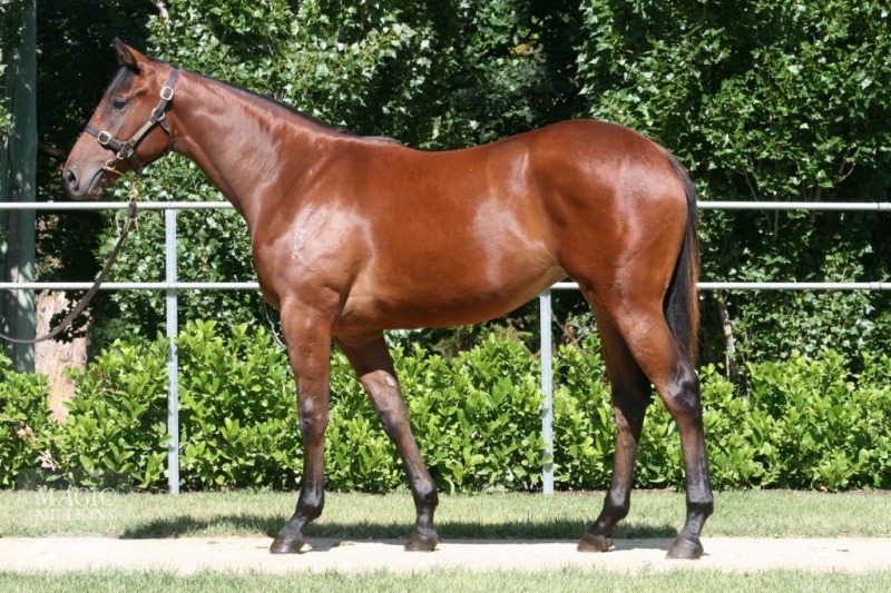 Camporella (AUS) - photo 1