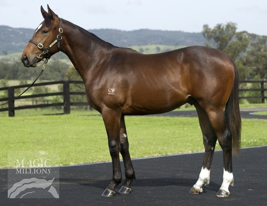 Heart Stealer - photo 1